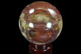 Colorful Petrified Wood Sphere - Madagascar #92992-1